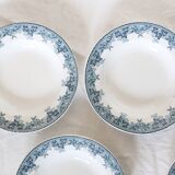 Deep plates x5, iron earth, Estival model from Saint Amand