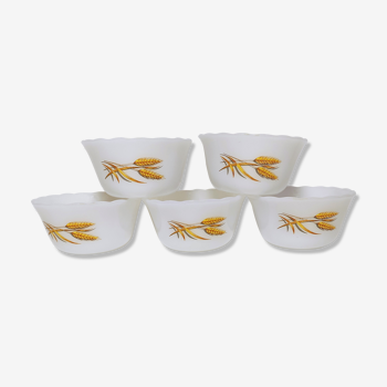 Anchor Hocking Fire King cups in opaline, Decor "Wheat", from the 1950s