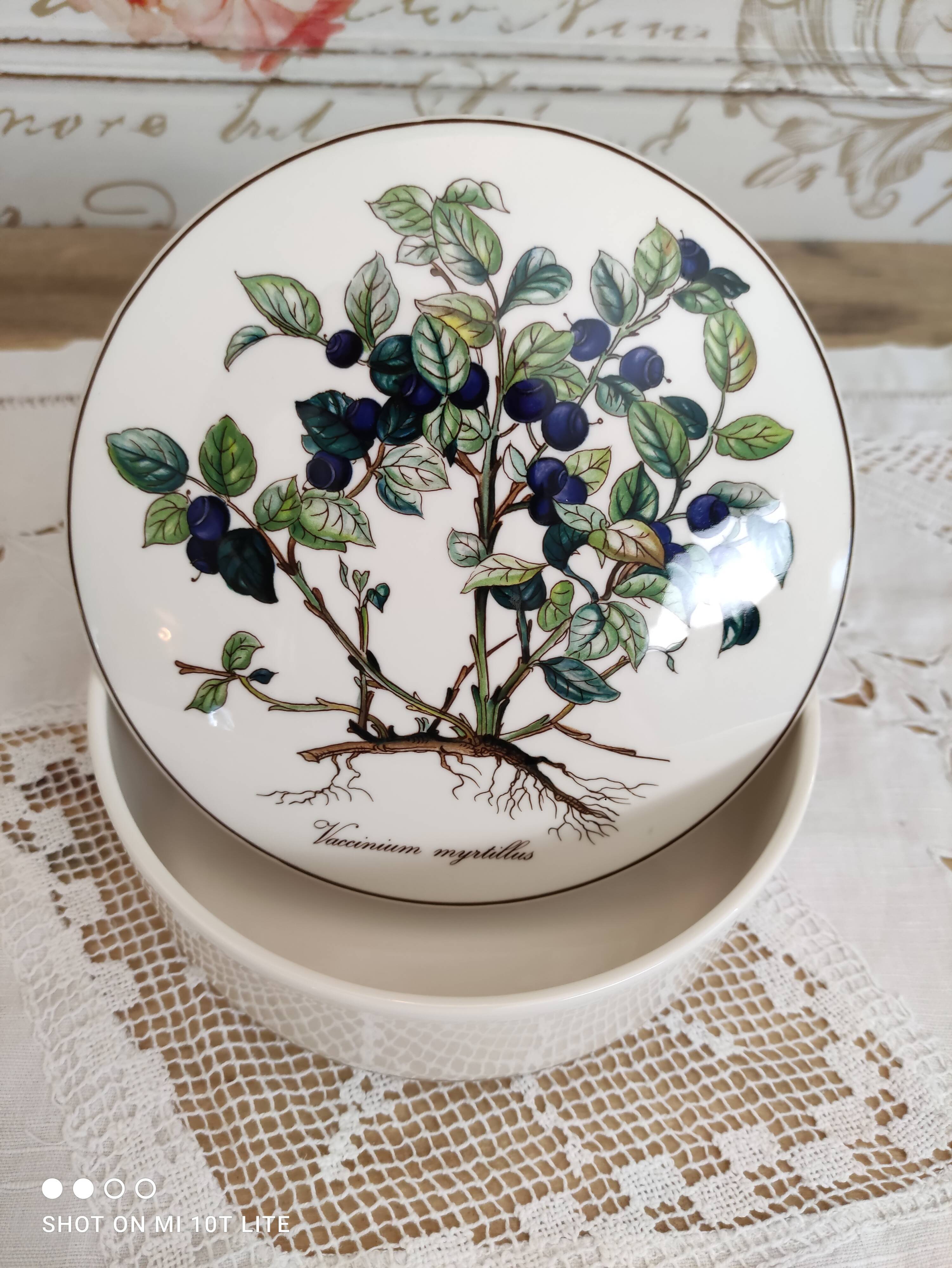 Porcelain box villeroy & boch model botanica "vaccinium myrtillus"
