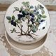 Porcelain box villeroy & boch model botanica "vaccinium myrtillus"