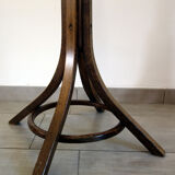 Baumann parrot coat holder