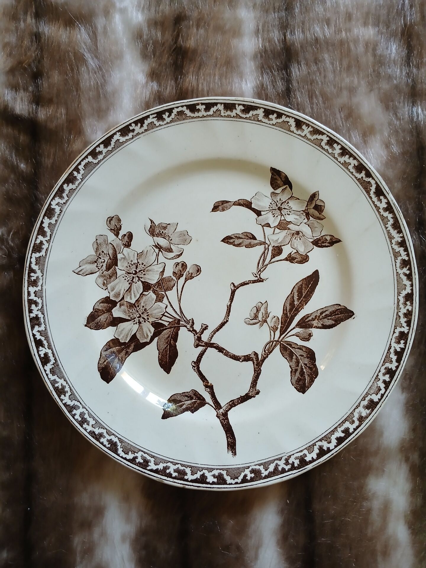 13 mismatched flat plates in ironstone