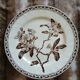 13 mismatched flat plates in ironstone