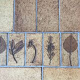 Roger Capron coffee table