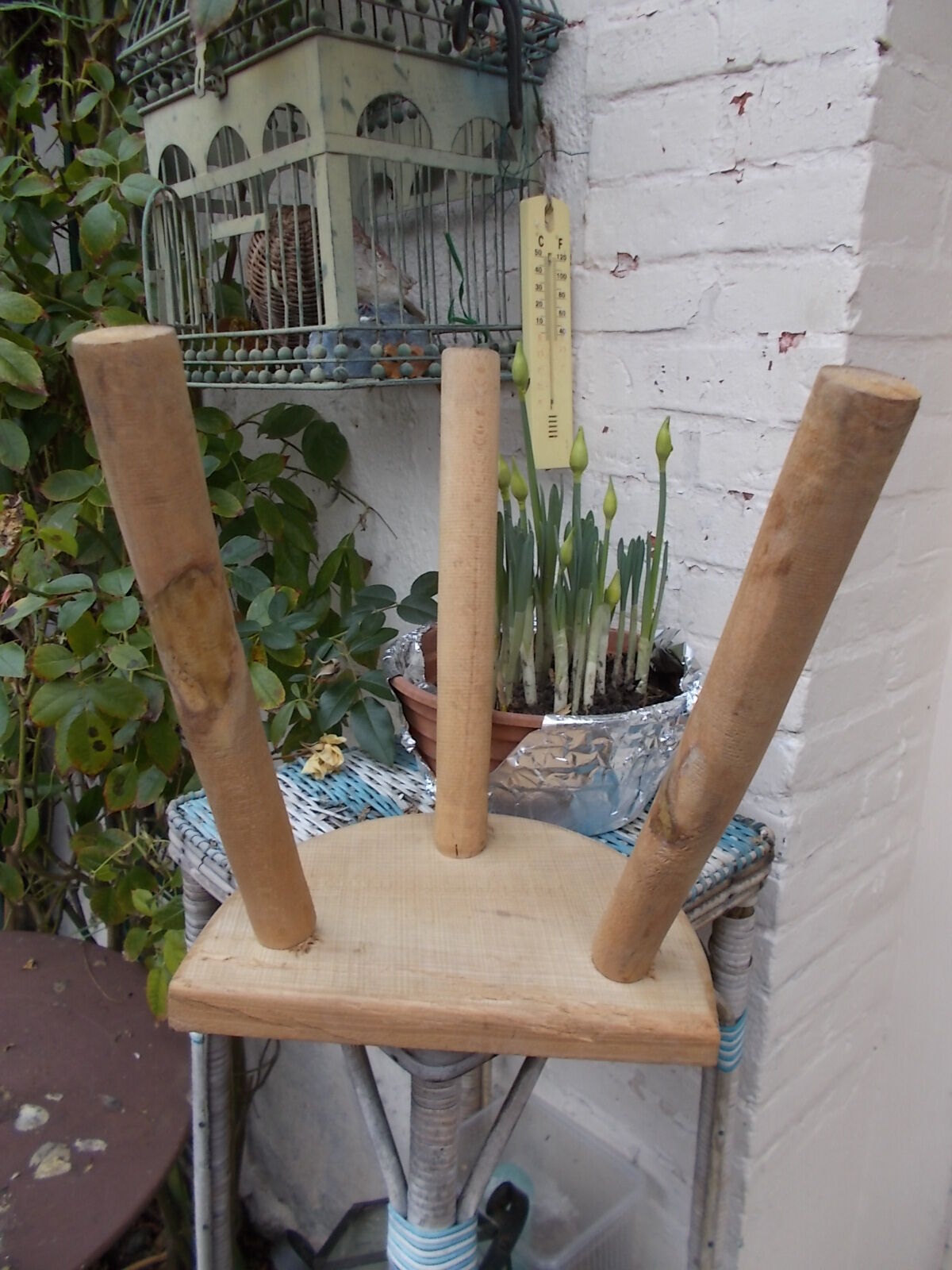 Raw wood tripod stool