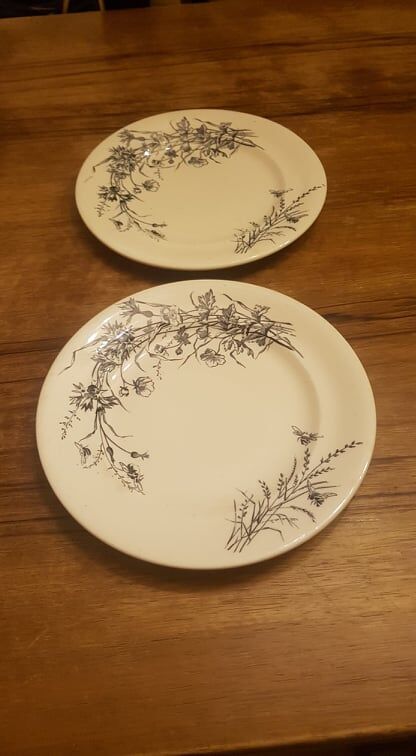 Set of 2 plates in Iron Earth SG model Fleurs des Champs