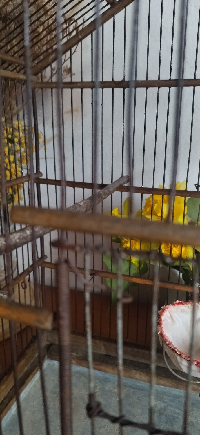 Cage ancienne