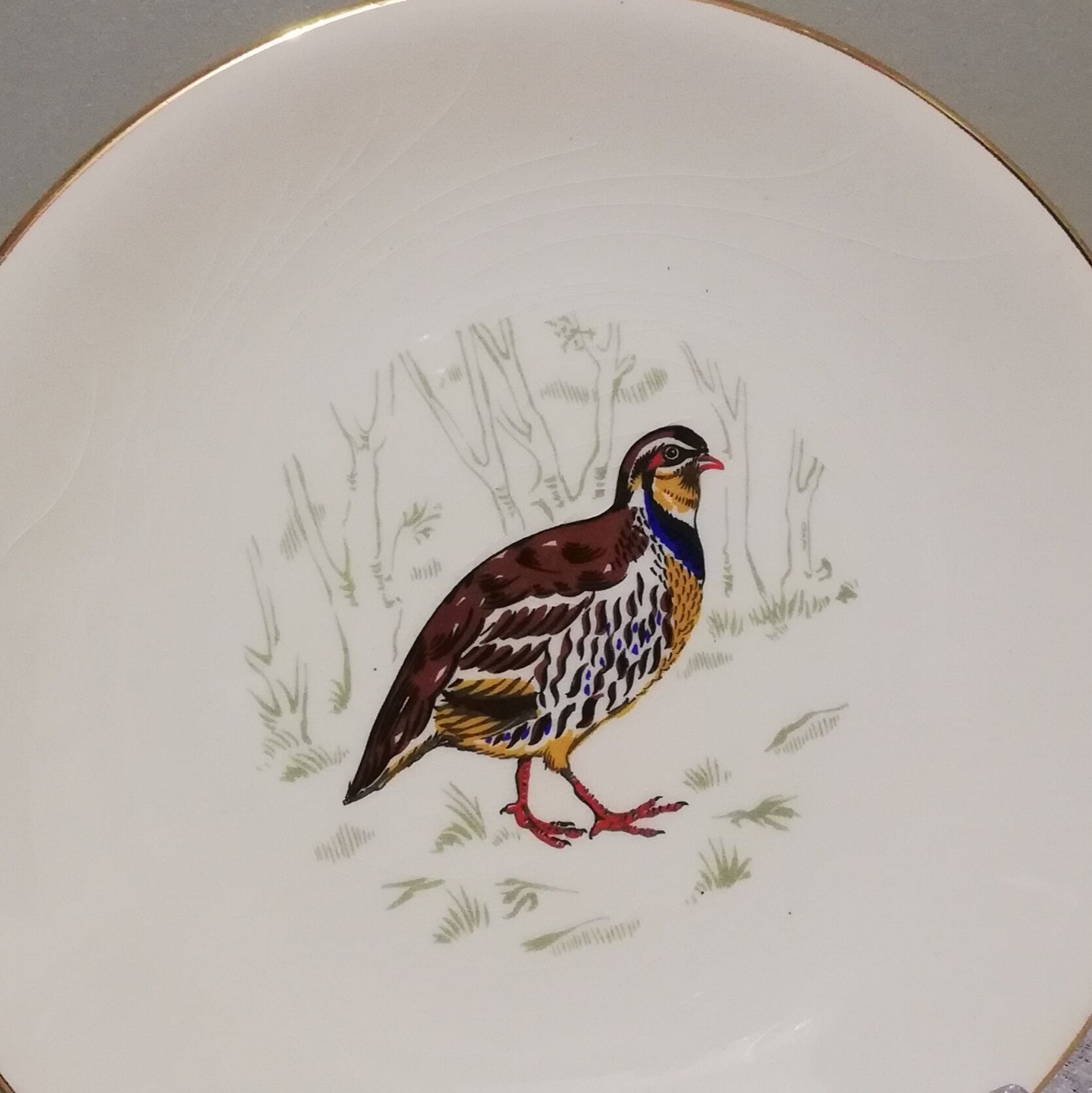 6 flat plates Gien Marly "birds of the forests"