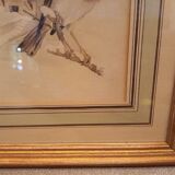 Lot 2 aquarelles oiseaux anciennes