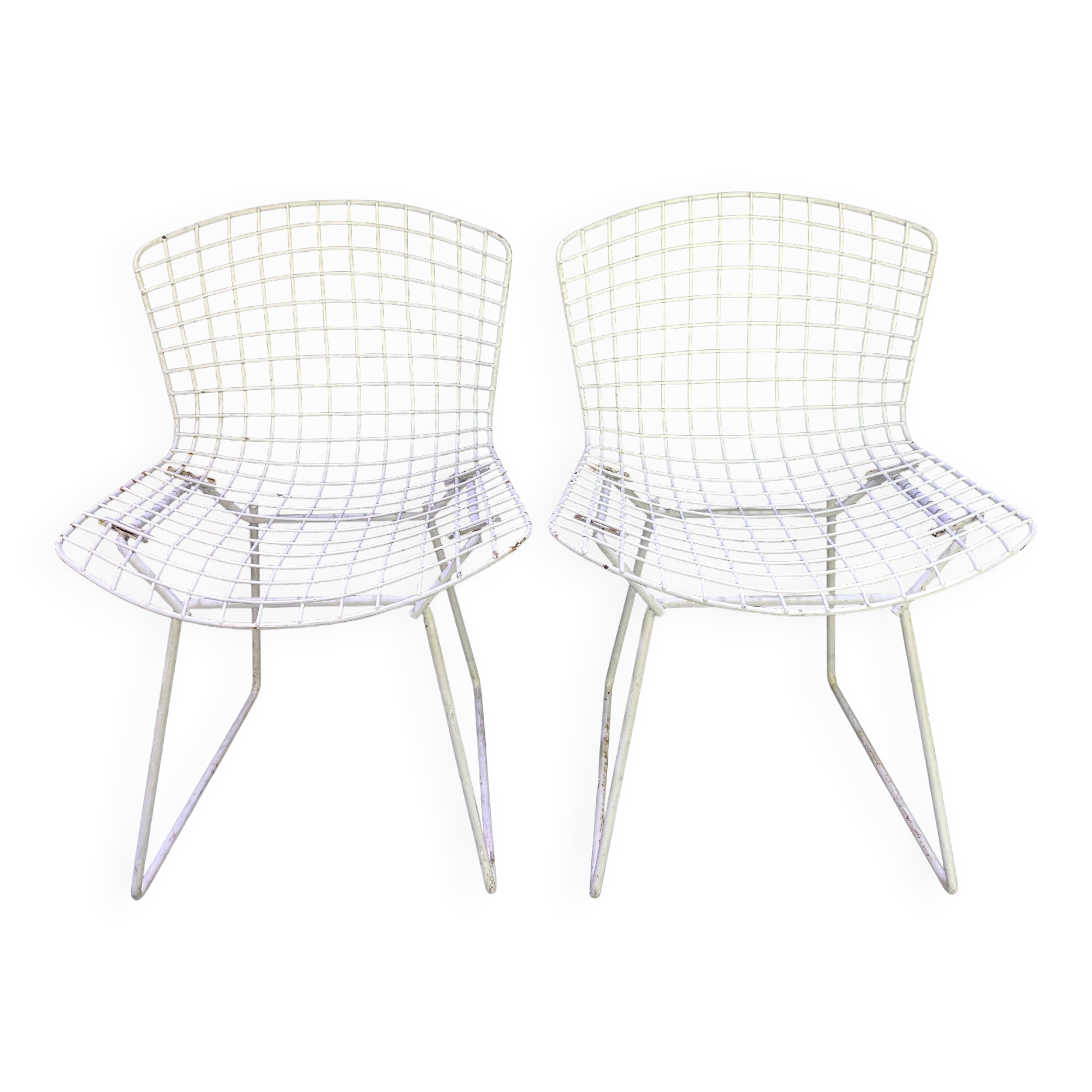 Pair of white lacquered Bertoia chairs