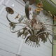 Floral floral sores 8 arms