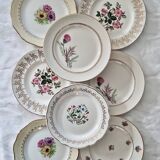 Set of 8 mismatched dessert plates