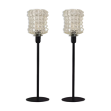 Pair of lamps with a molded glass shade