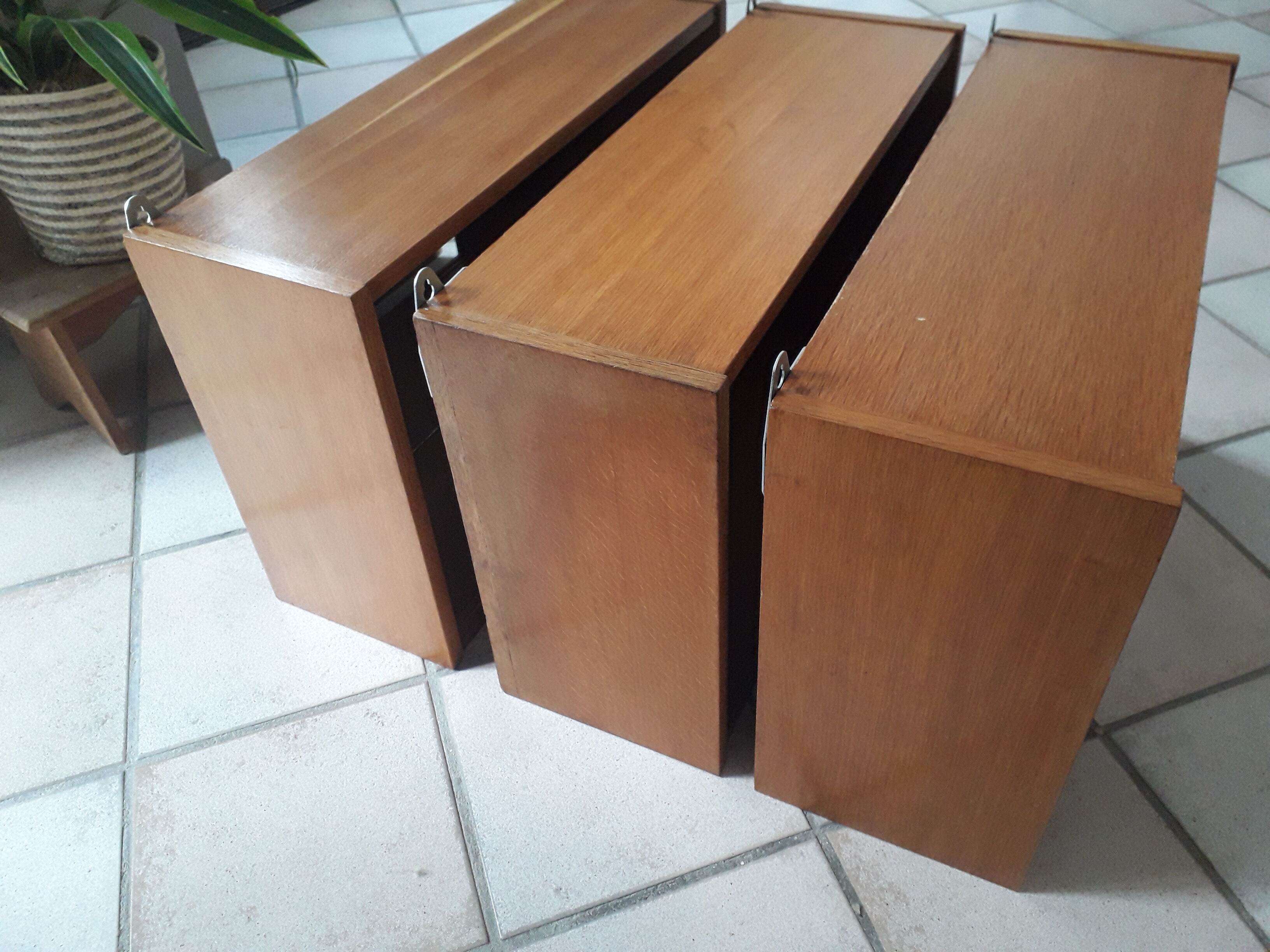 Wall display case in vintage oak veneer