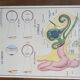 Old vintage school poster nightingale 60s liver alcoholism eye vision