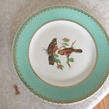 6 assiettes plates oiseaux