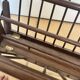 Folding magazine rack with shelf