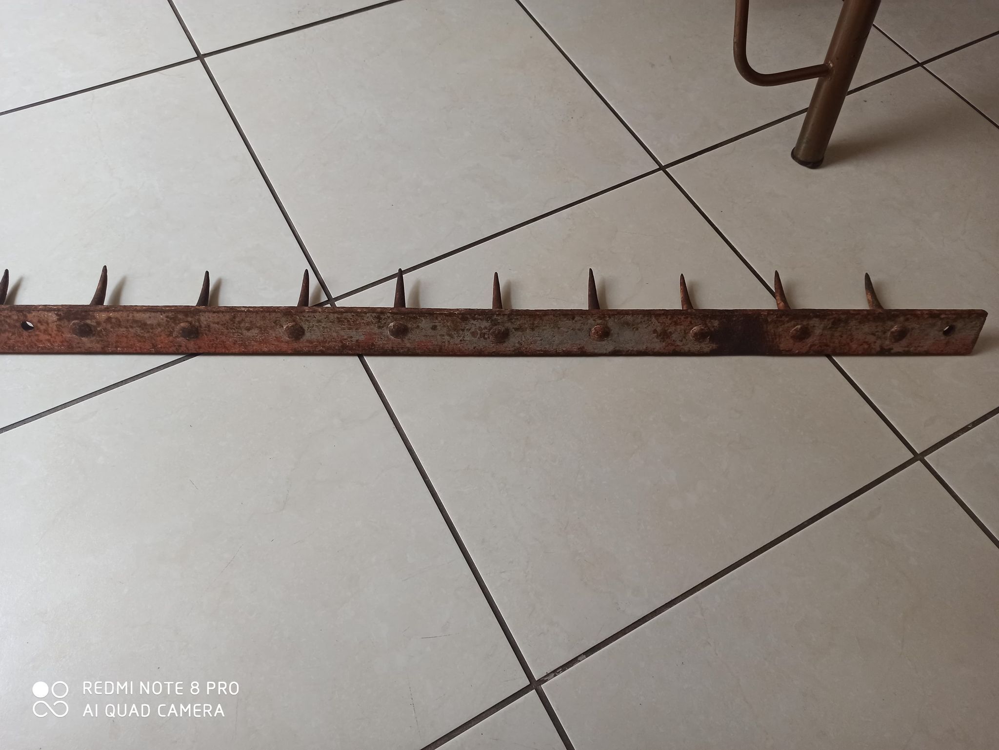 old bar teeth wolf hooks butcher deco indus