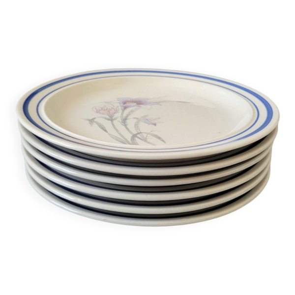 Lot de 6 assiettes à dessert