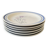 Set of 6 dessert plates