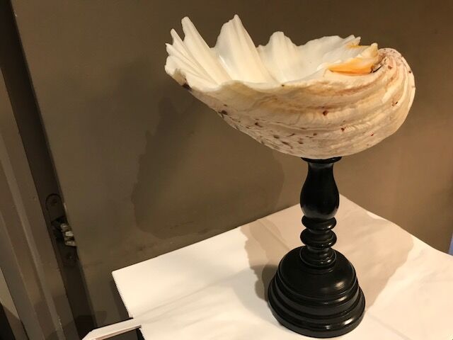 Clam mounted in vacuum pocket