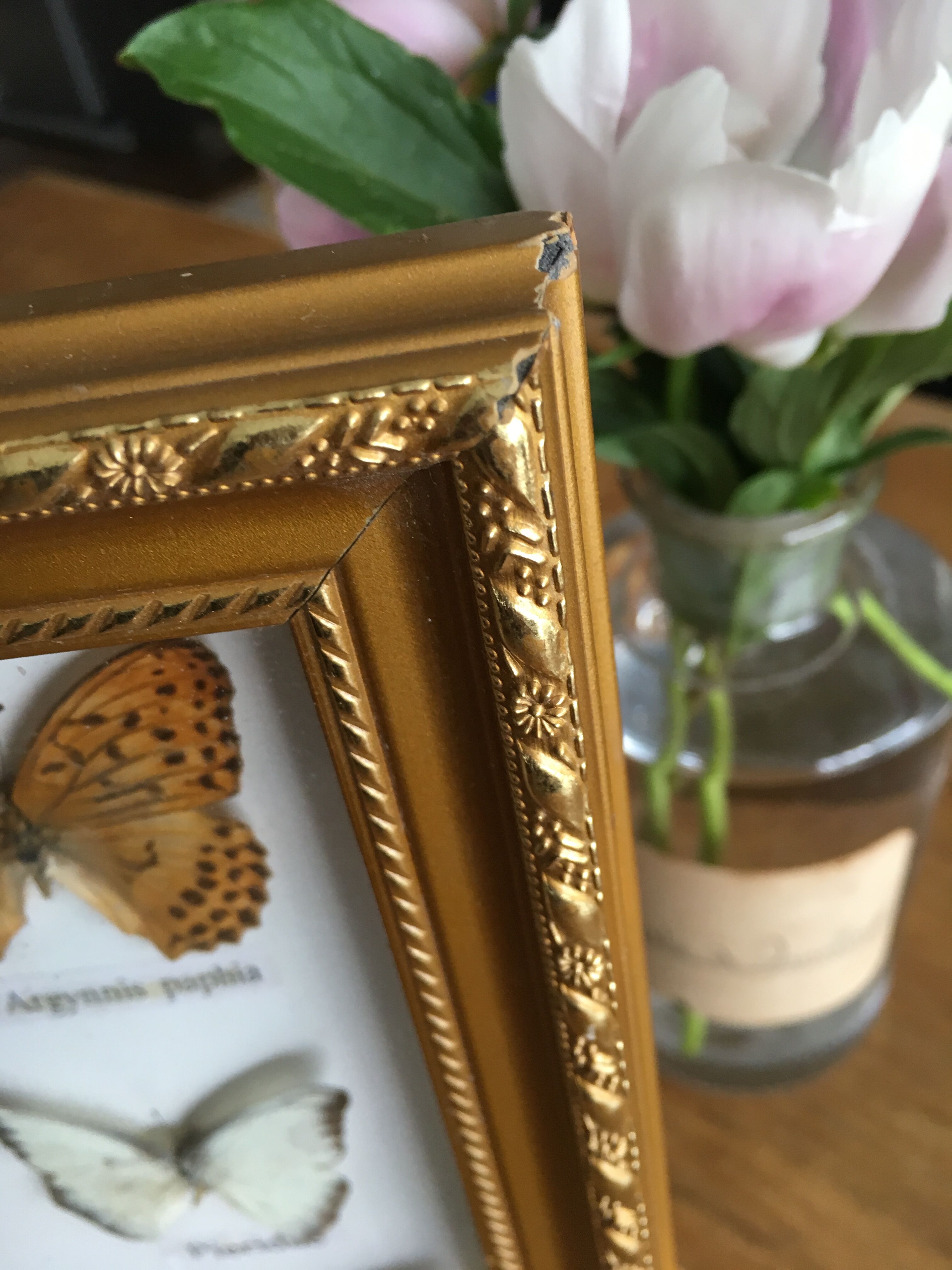 Frame mounted butterflies