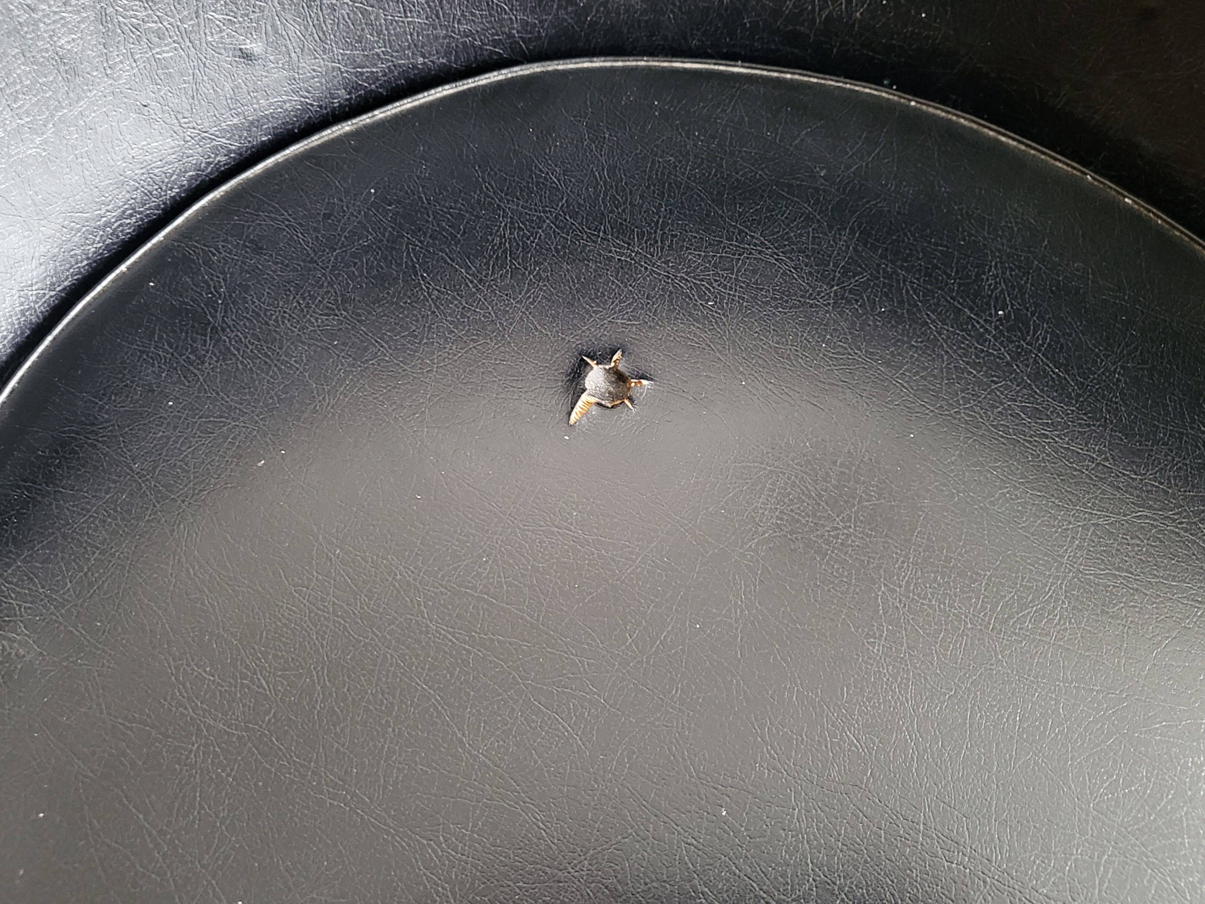 Vintage Cone chair armchair by Verner Panton 1950