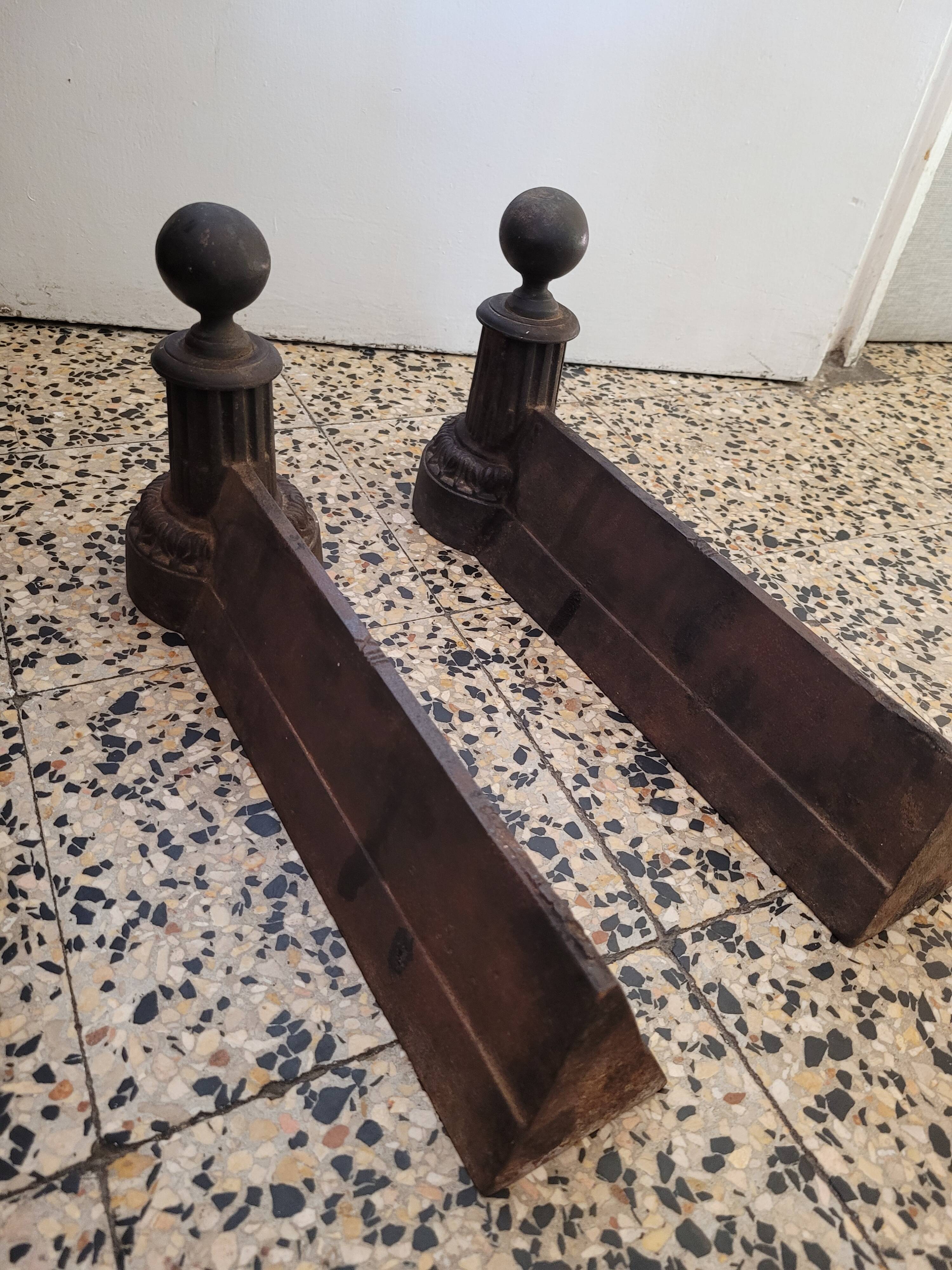 Beautiful pair of caterpillars