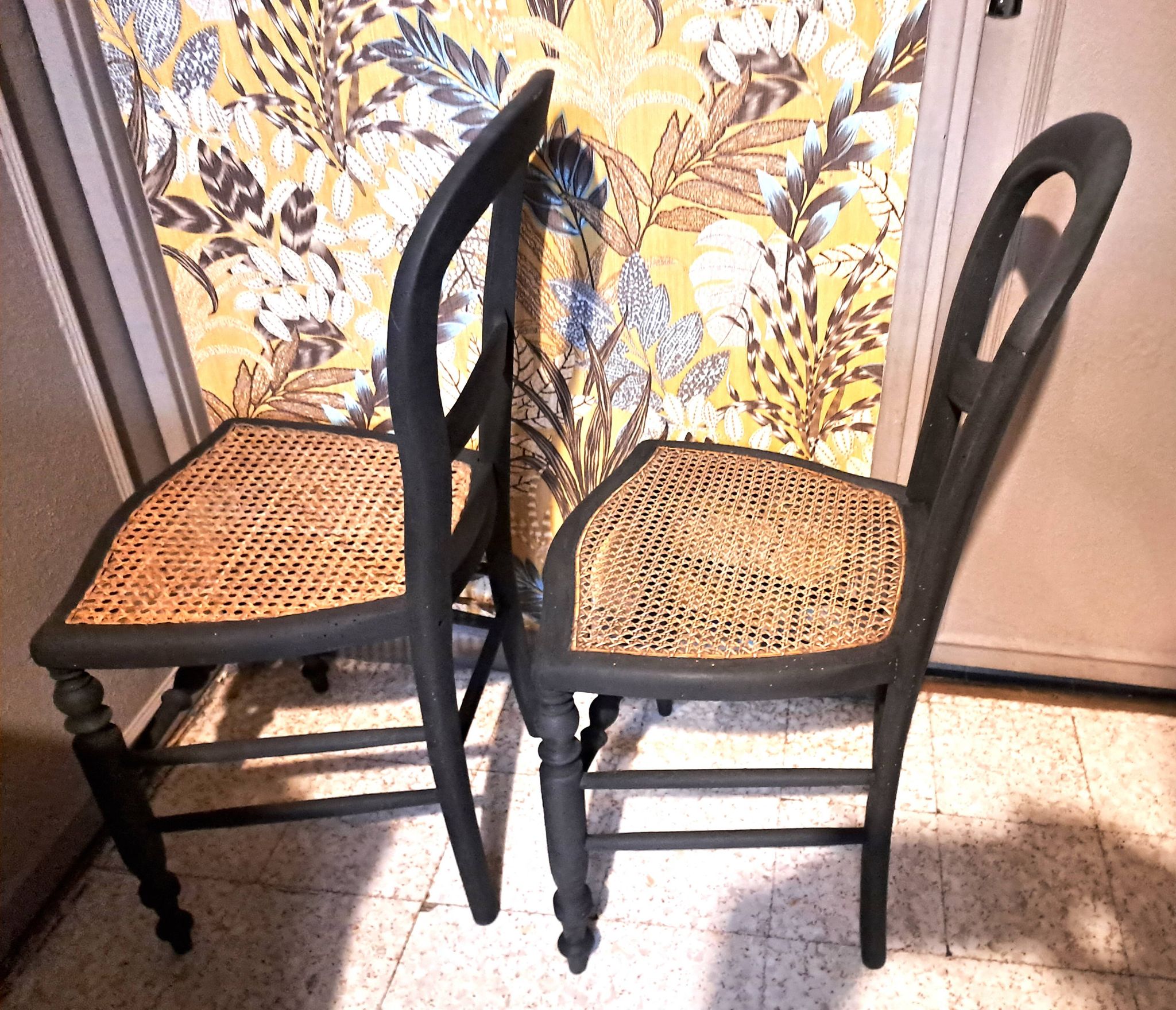 Pair of 2 chairs with cane seats in black wood, circa 1940