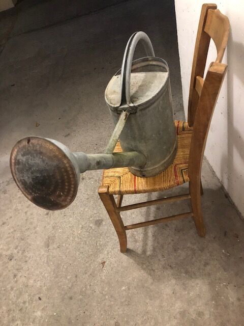 Vintage zinc watering can, copper apple
