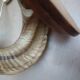Vintage ram's horn living room lamp