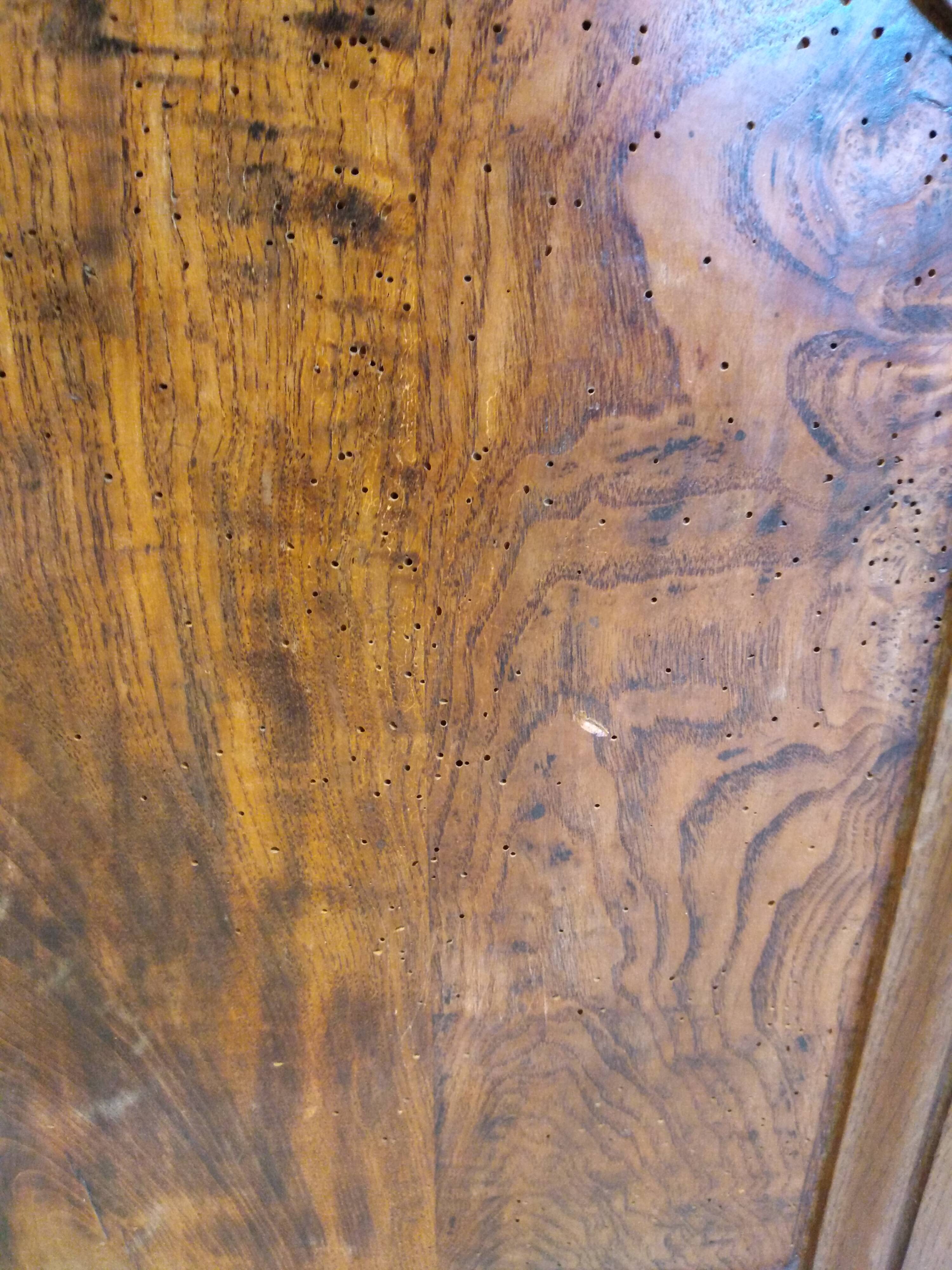 Old Bressane cabinet doors