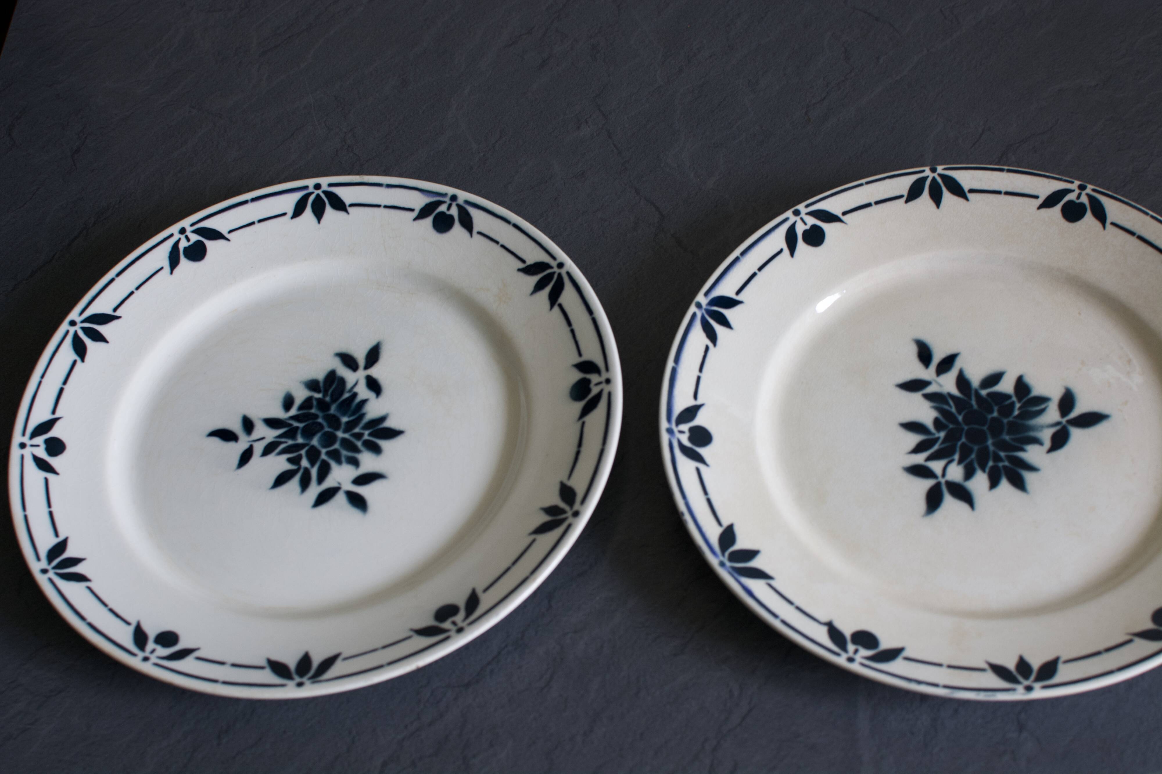 Old plates Badonviller blue flowers