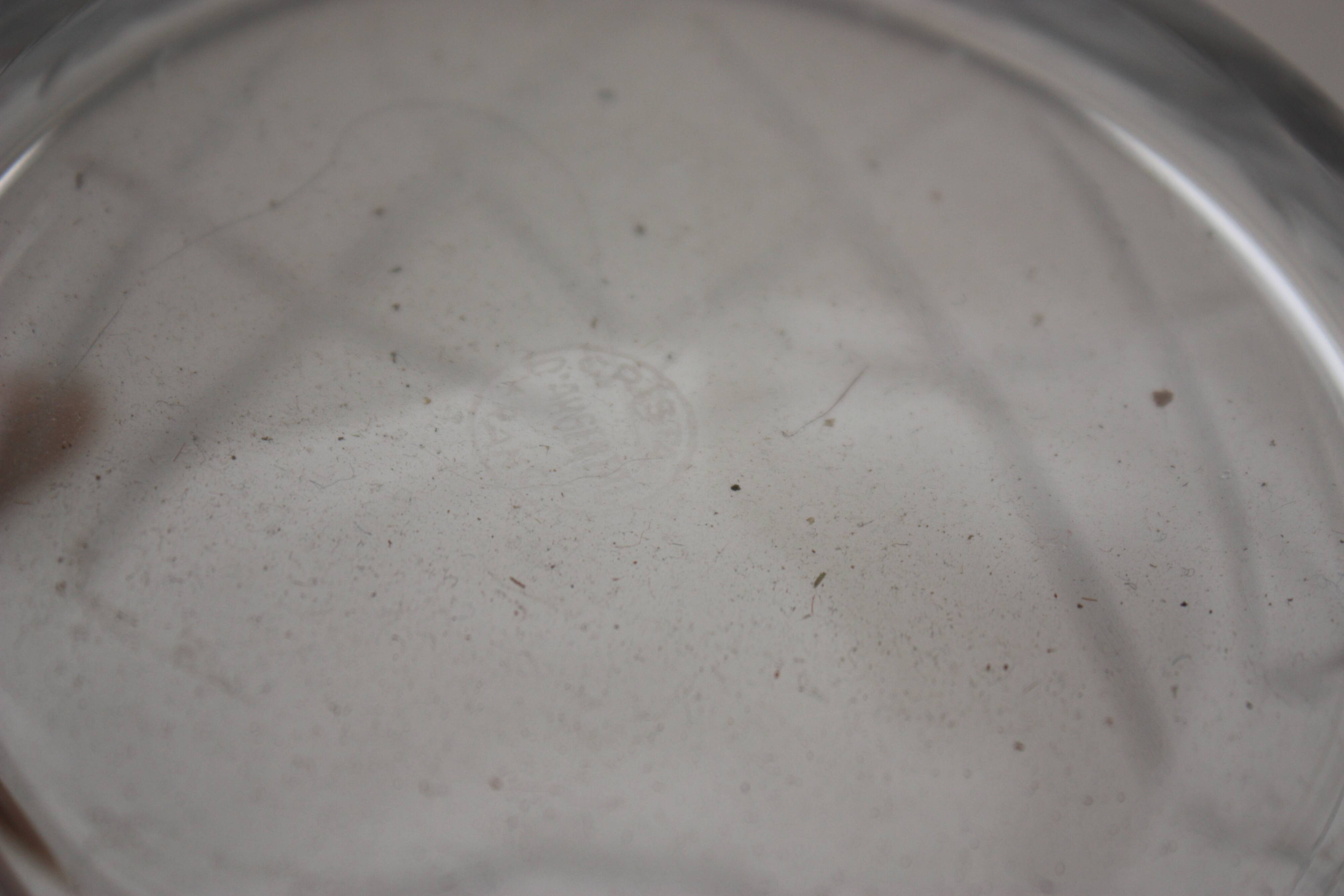 Argental crystal water pitcher or jug