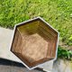 Plexiglas office basket 1970