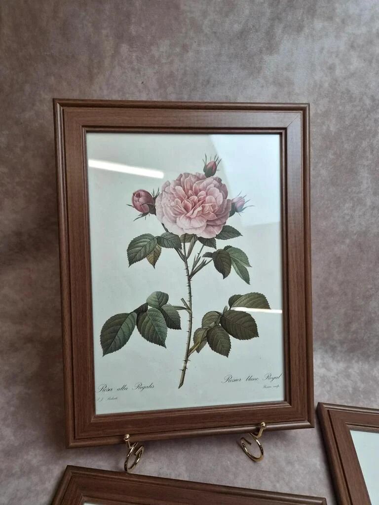 Lot de 3 cadres botaniques P.j. Redouté – Roses & tulipe