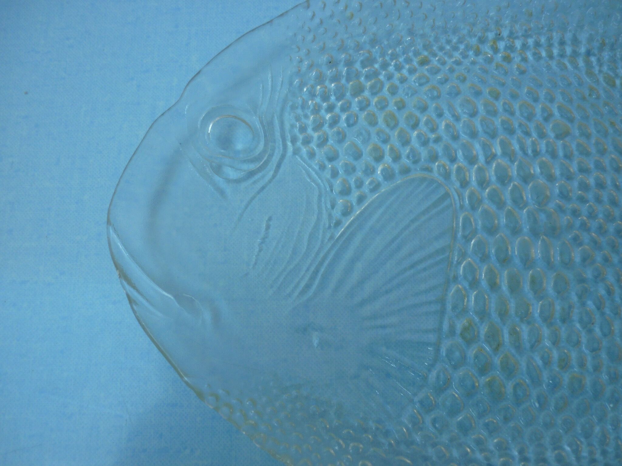Arcoroc glass fish platter