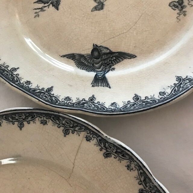 10 old plates