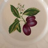 Vintage earthenware dish from Niederviller