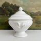 White iron earthenware soup tureen from Digoin and Sarreguemines late 19th century