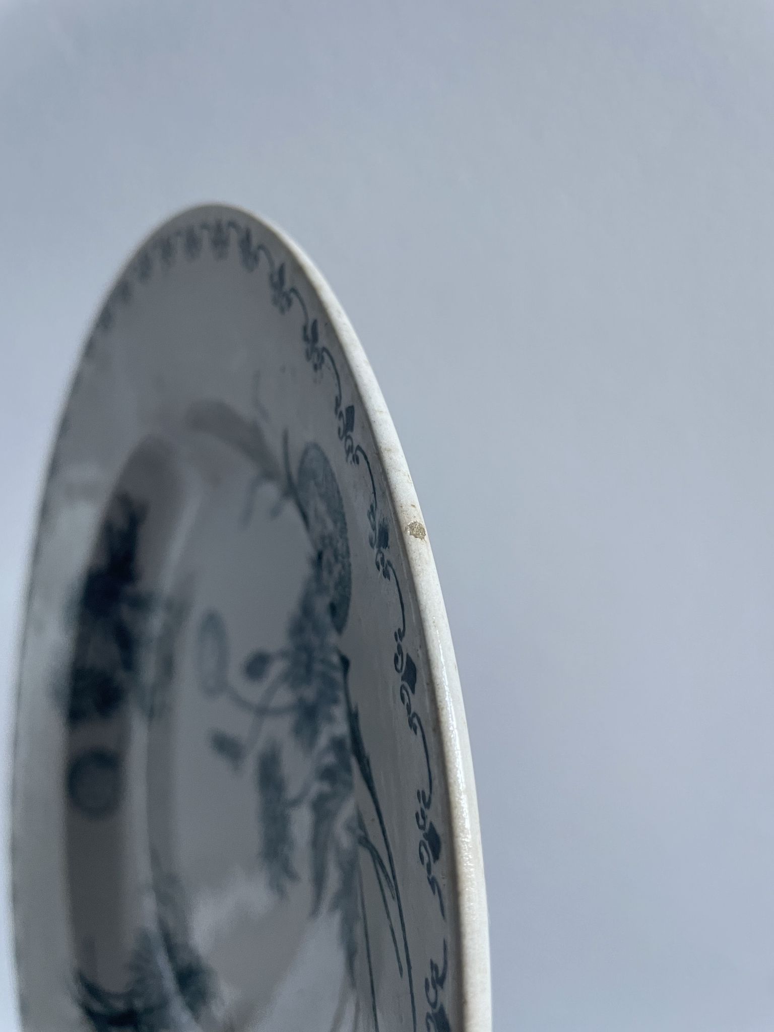 Set of 10 hollow plates Terre de Fer XIXth, model Madrid