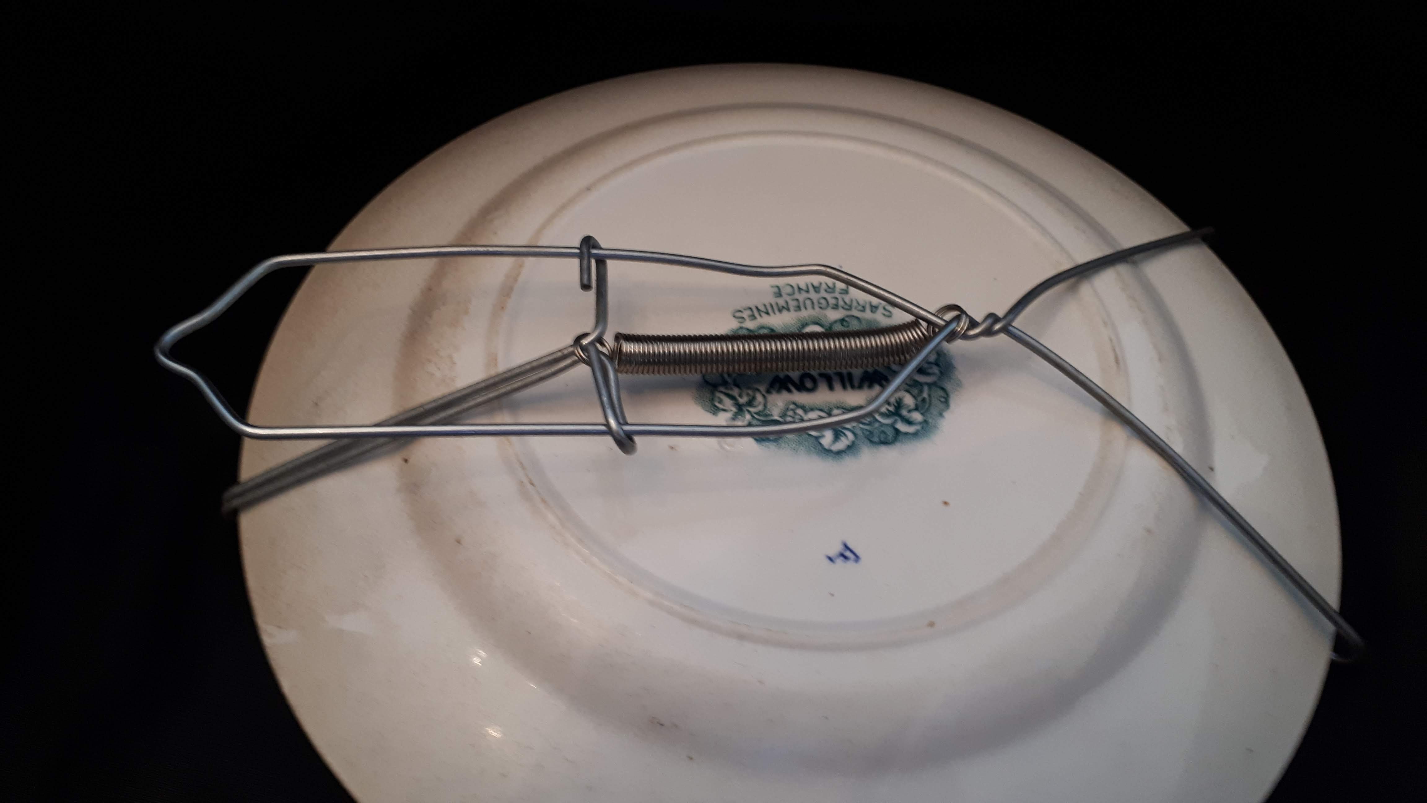 Plate Faïence sarreguemines "Willow"