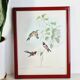 Lot de 7 chromolithographies oiseaux années 50