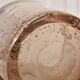 Ice bucket biot old bubble glass