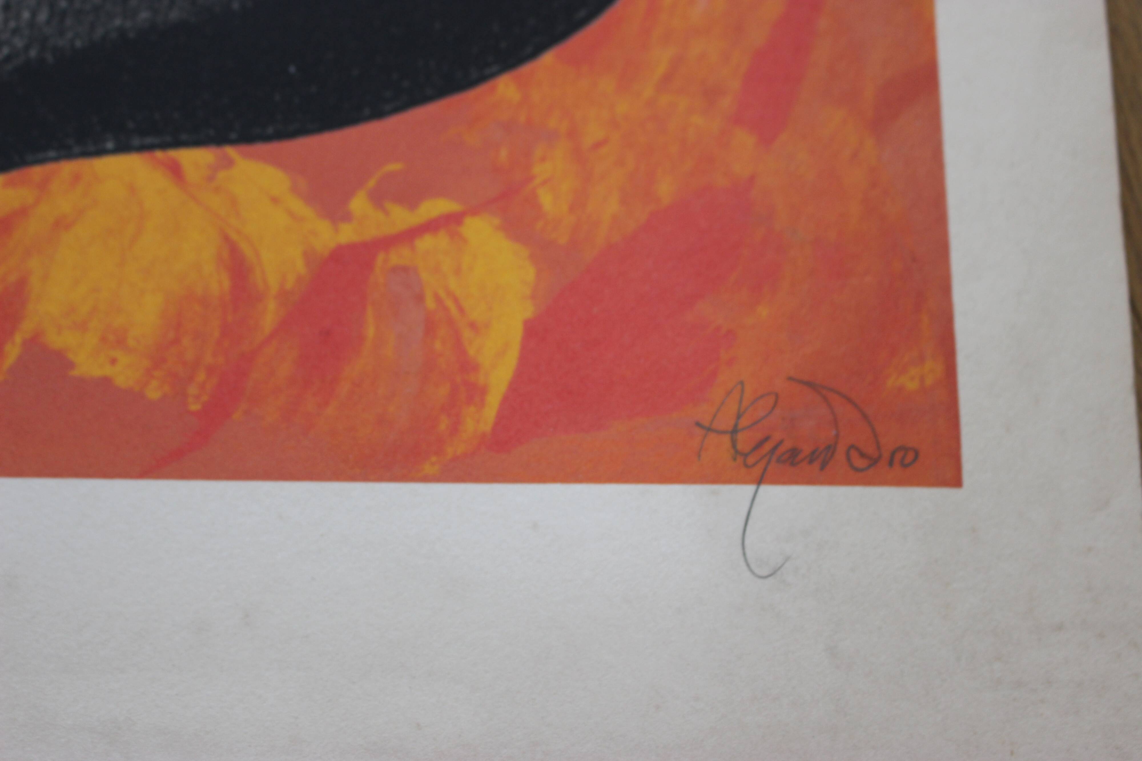 Affiche sérigraphie Mujer de l'artiste ramon alejandro numérotée 48/60