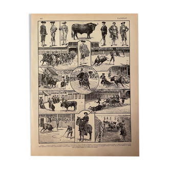 Lithographie gravure sur les taureaux de 1897