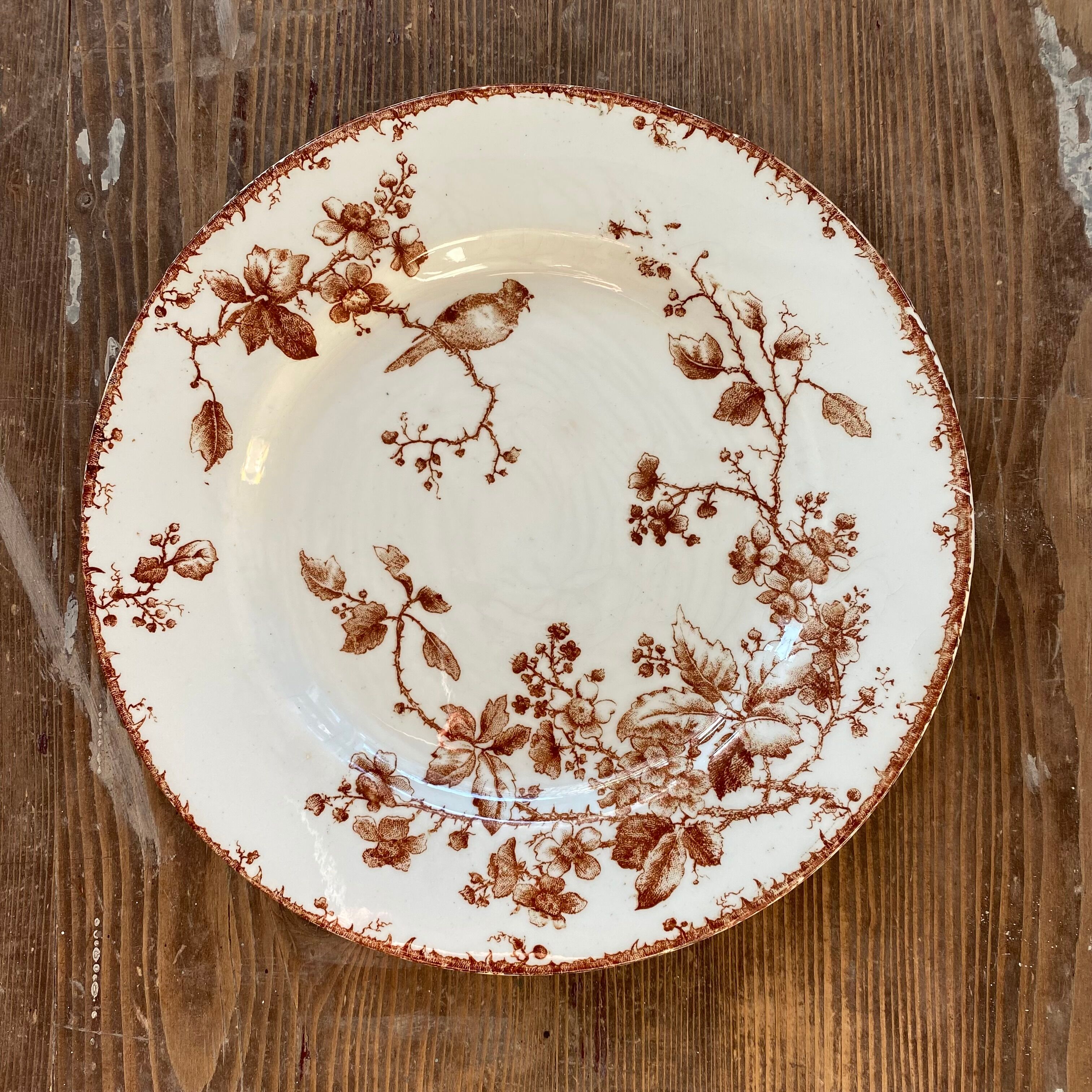 Fauvette plate, Gien x3