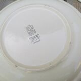 Lot of 4 mismatched plates herbarium vegetable decoration