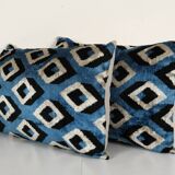 Paire de coussins