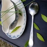 Sauce or dish spoon